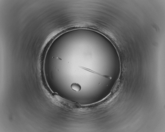 X0000111481122200907141211