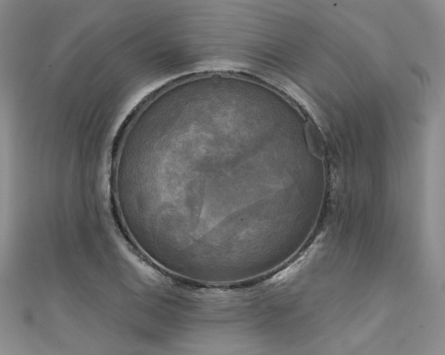 X0000111481124200907141211