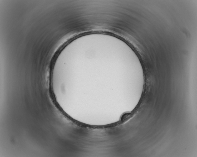 X0000111481126200907141211