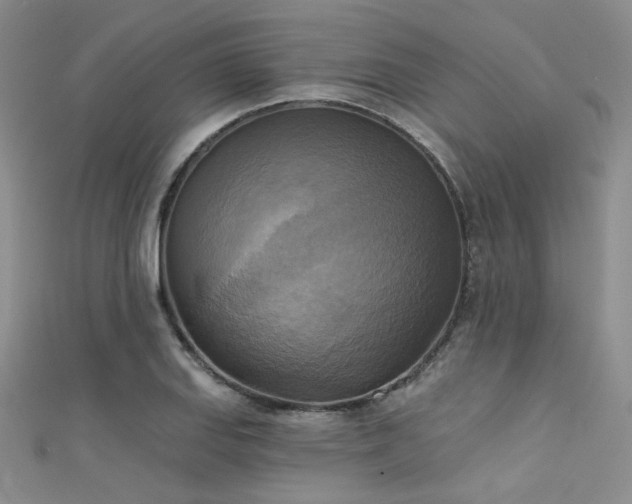 X0000111481127200907141212