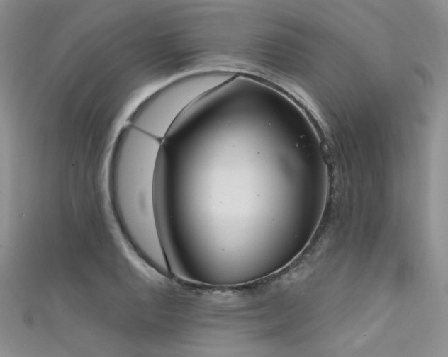X0000111481128200907141212