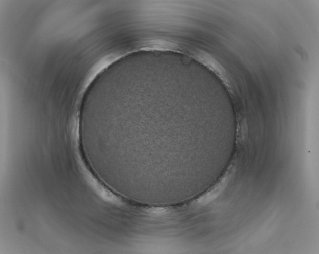 X0000111481130200907141212
