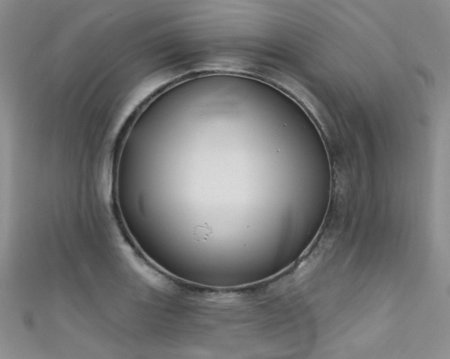X0000111481131200907141212