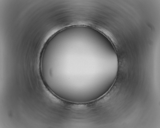 X0000111481135200907141212