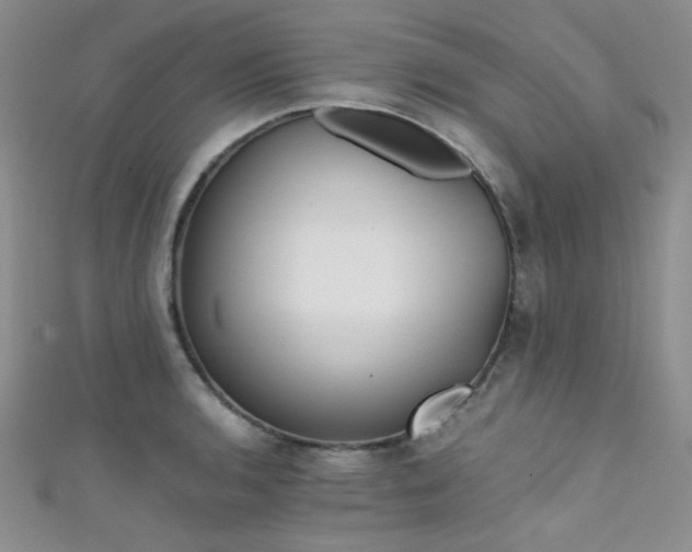 X0000111481136200907141212