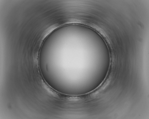 X0000111481137200907141212