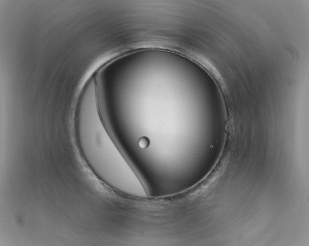 X0000111481138200907141212
