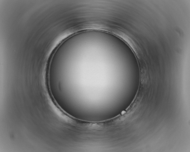 X0000111481139200907141212