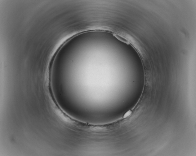 X0000111481140200907141212