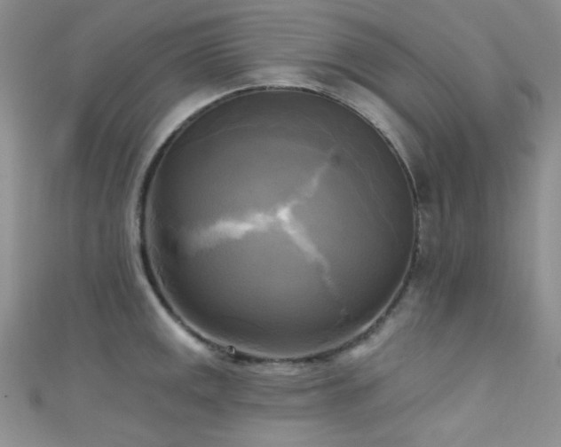 X0000111481141200907141212