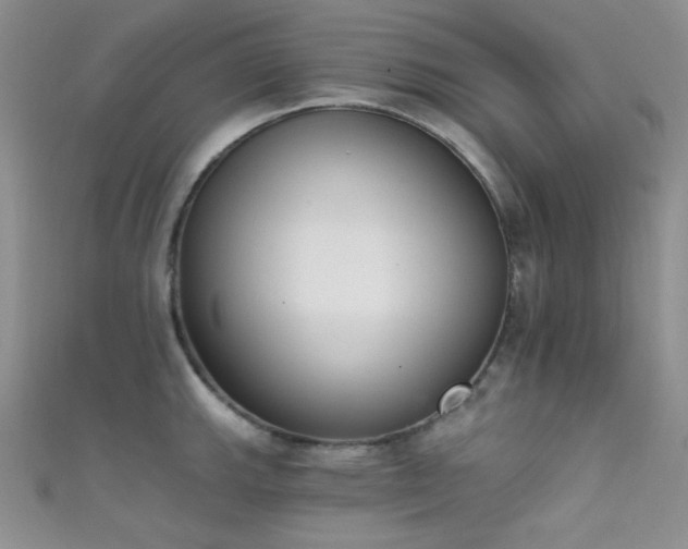 X0000111481143200907141212