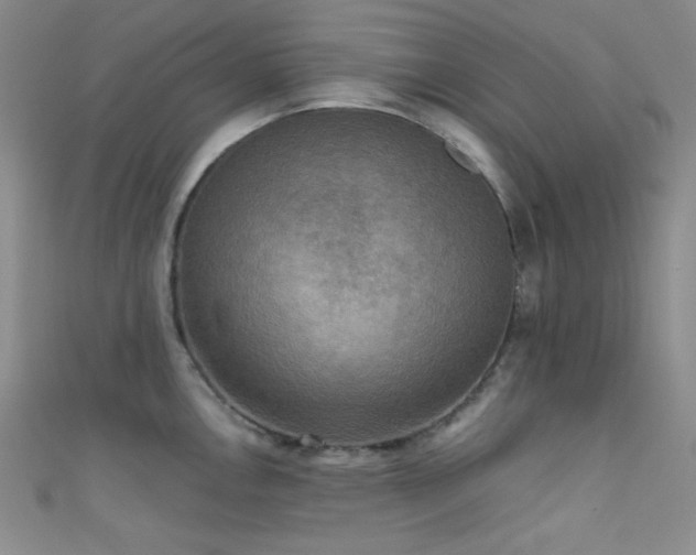 X0000111481146200907141212