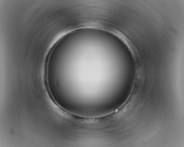 X0000111481147200907141212