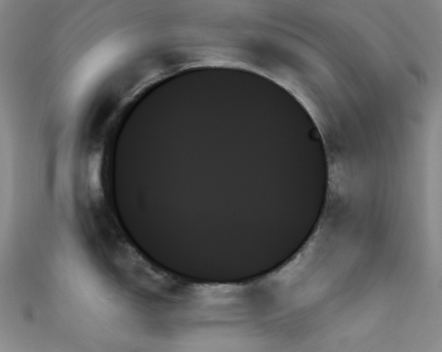 X0000111481150200907141212