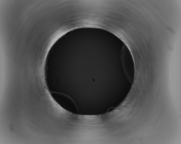 X0000111481152200907141212