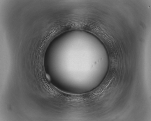 X0000111481153200907141211