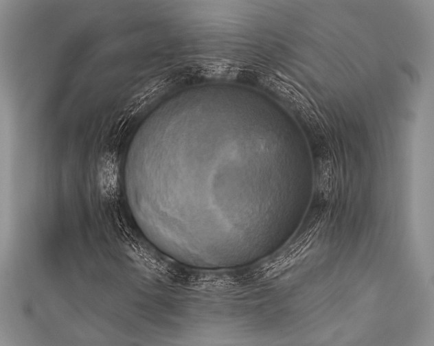 X0000111481154200907141211