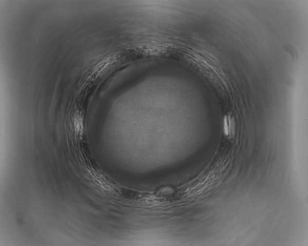 X0000111481155200907141211