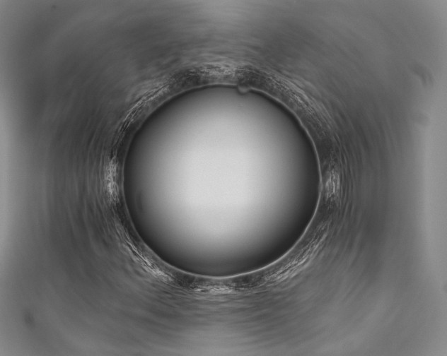 X0000111481156200907141211
