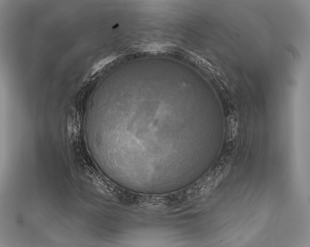 X0000111481158200907141211