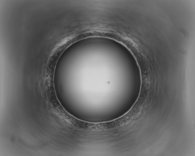 X0000111481159200907141211