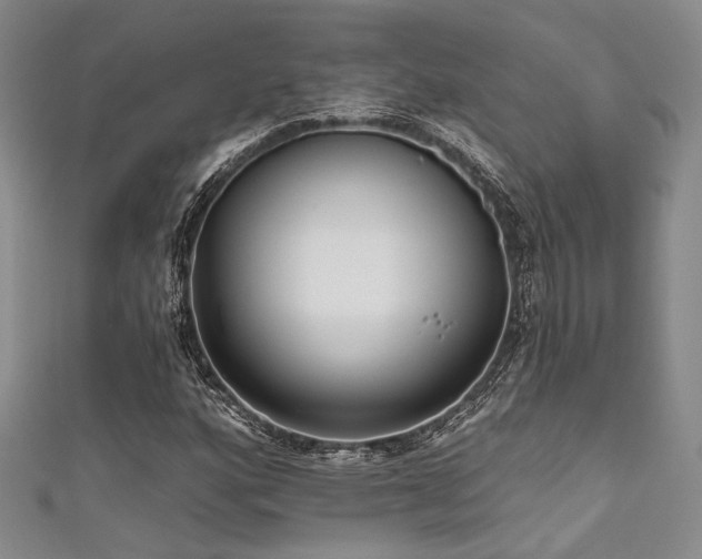 X0000111481160200907141211