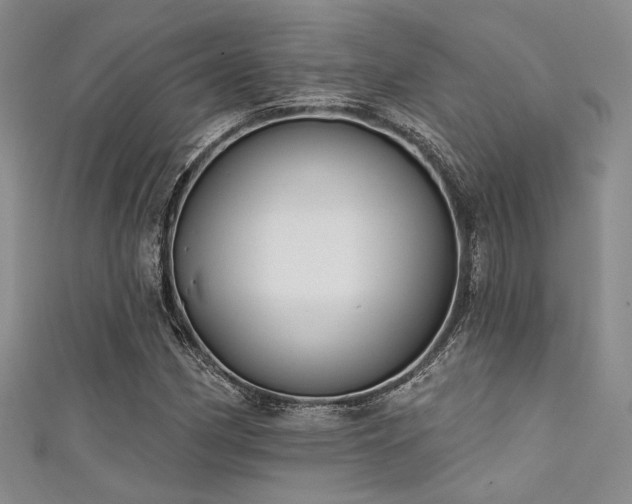 X0000111481162200907141211