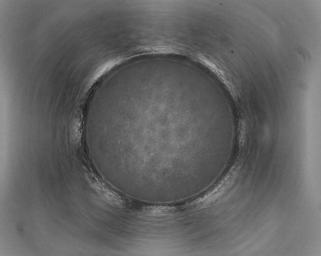 X0000111481163200907141211