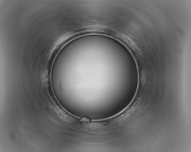 X0000111481164200907141211