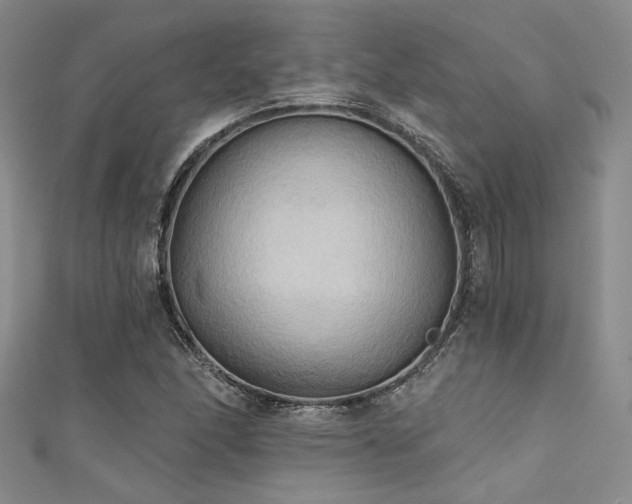 X0000111481166200907141211