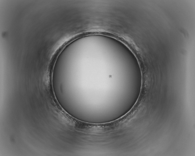 X0000111481167200907141211