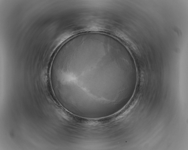 X0000111481170200907141211