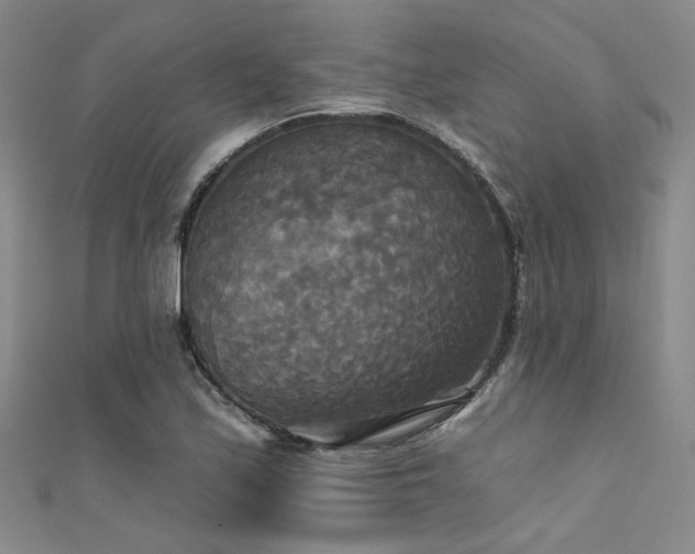X0000111481171200907141211