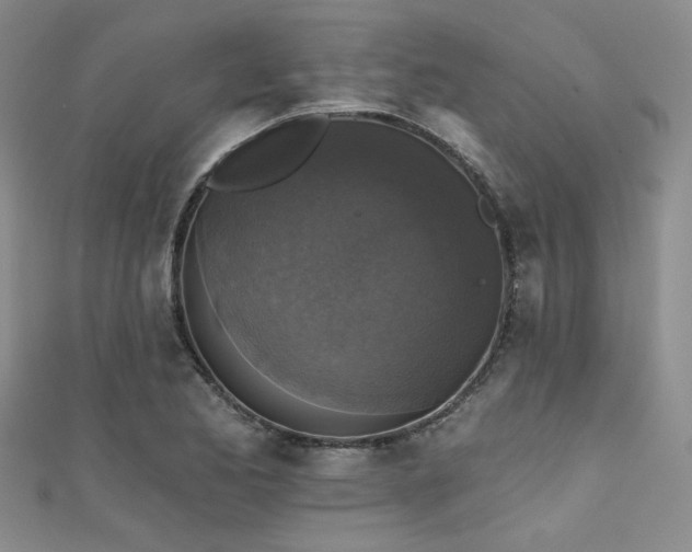 X0000111481173200907141211