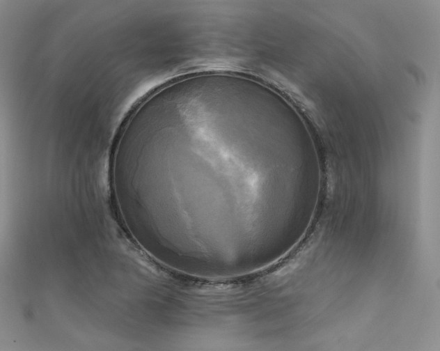 X0000111481174200907141211