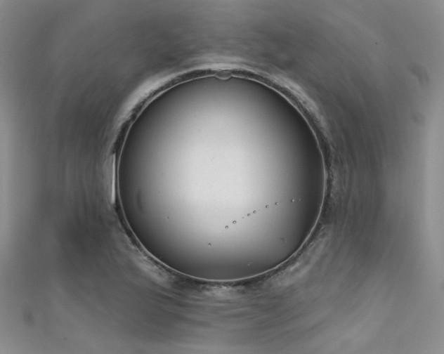 X0000111481175200907141211