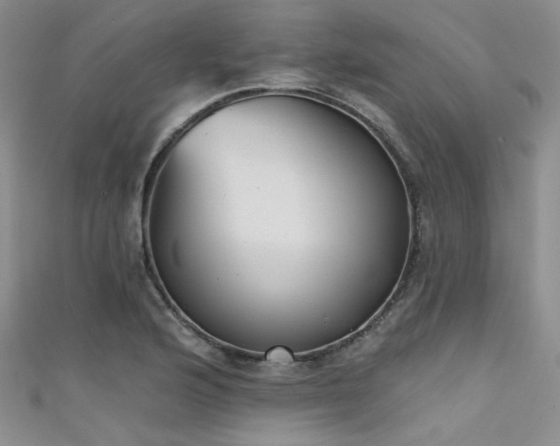 X0000111481176200907141211