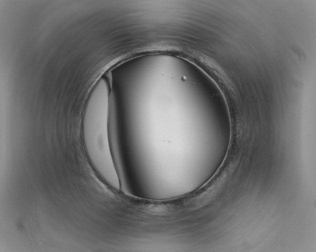 X0000111481177200907141211