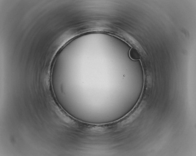 X0000111481178200907141211