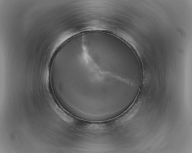 X0000111481179200907141211
