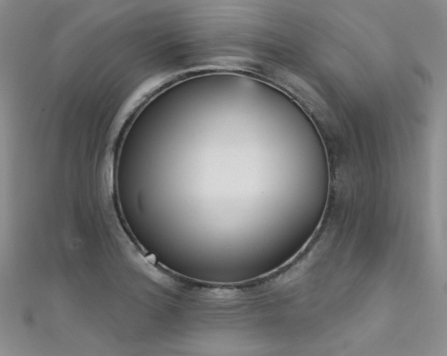 X0000111481180200907141211