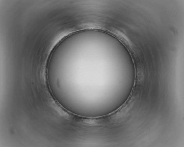 X0000111481182200907141211