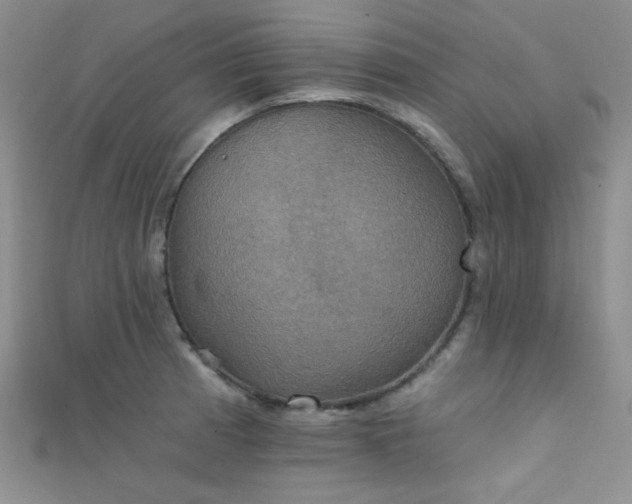 X0000111481185200907141211