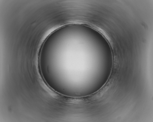 X0000111481187200907141211