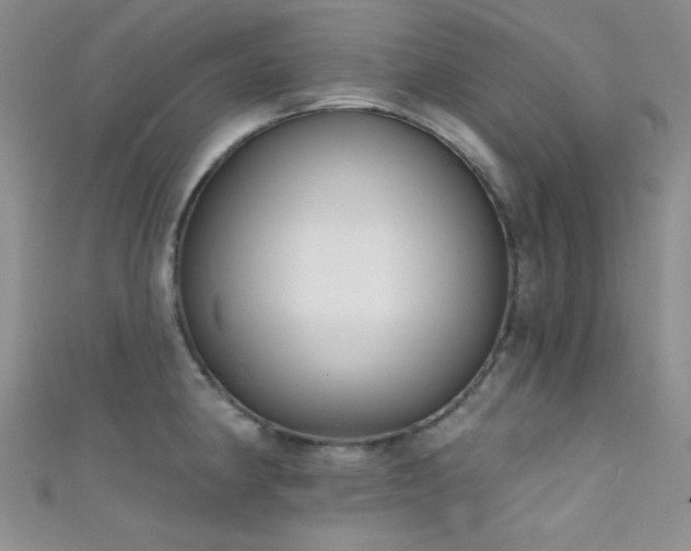 X0000111481190200907141211
