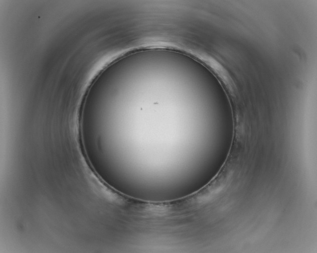 X0000111481191200907141211