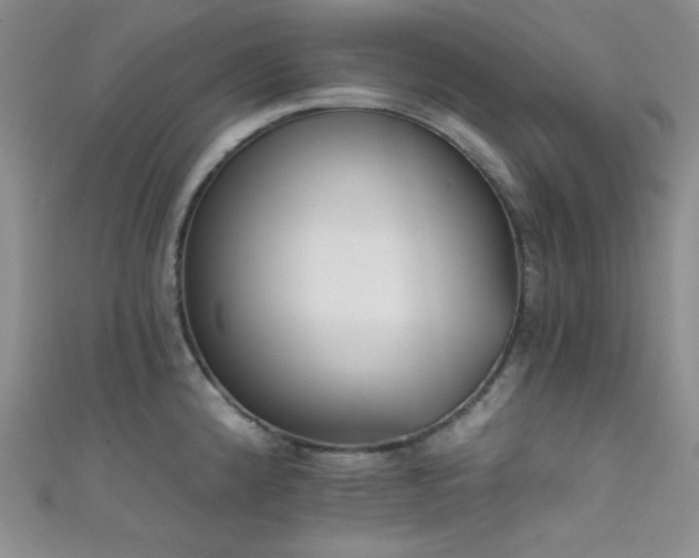X0000111481192200907141211