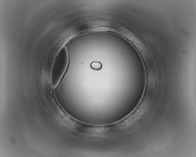 X0000111481193200907141211