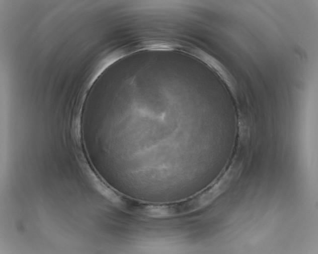X0000111481194200907141211