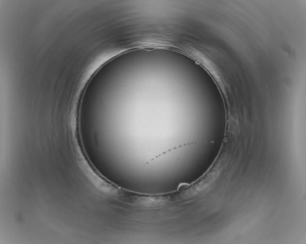 X0000111481195200907141211